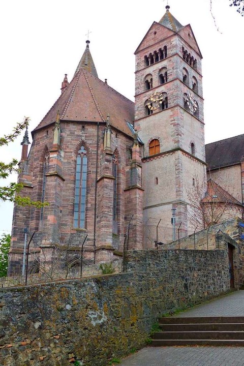 Aus dem Dornröschenschlaf erwacht - Breisach - Badische Zeitung