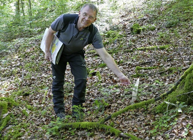 Frster  Meister zeigt das Wachstum ju...eitannen im geschtzten Hirschgraben.  | Foto: Martin Wunderle