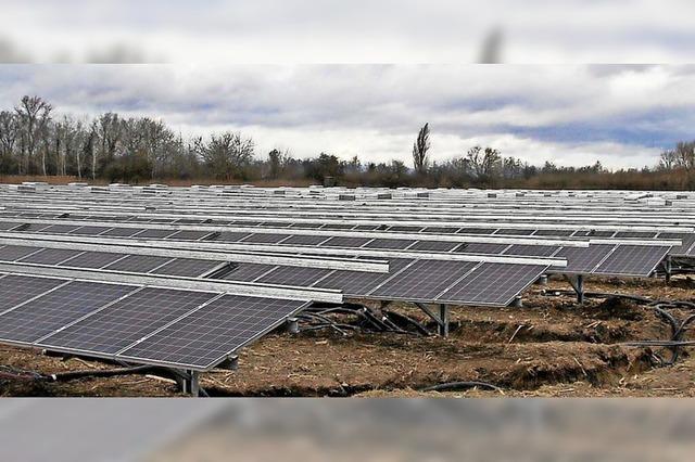 Solarparkbetreiber erwarten auch dieses Jahr ein gutes Geschft