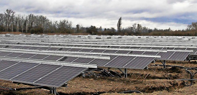 Eine gute Reinigung der Solarmodule bringt sieben Prozent   mehr Strom.  | Foto: Herbert Trogus