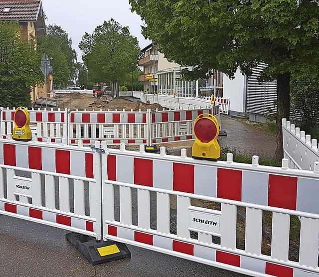 Die Bumen am Straenrand mssen der Sanierung nicht weichen.  | Foto: Gerald Nill