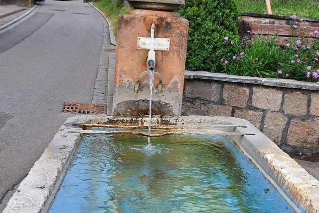 Badende Kinder beschdigen den Dorfbrunnen in Wittlingen