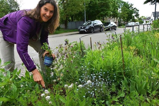 Ariane Bunjes setzt in Gundelfingen auf blühende Wiesen statt grünen Rasen