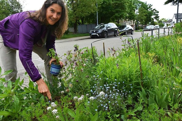 Ariane Bunjes lockt mit einheimischen Pflanzen Insekten in den Garten.  | Foto: Andrea Steinhart