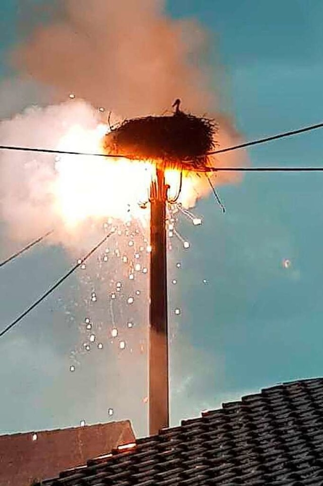 Das Nest in Flammen  | Foto: Polizei Offenburg