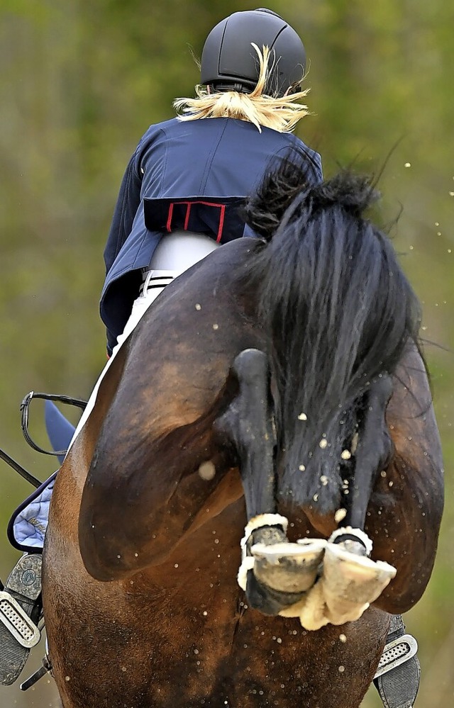 Der Pferdesportverband Sdbaden will d...ln in den kommenden Jahren forcieren.   | Foto: Achim Keller