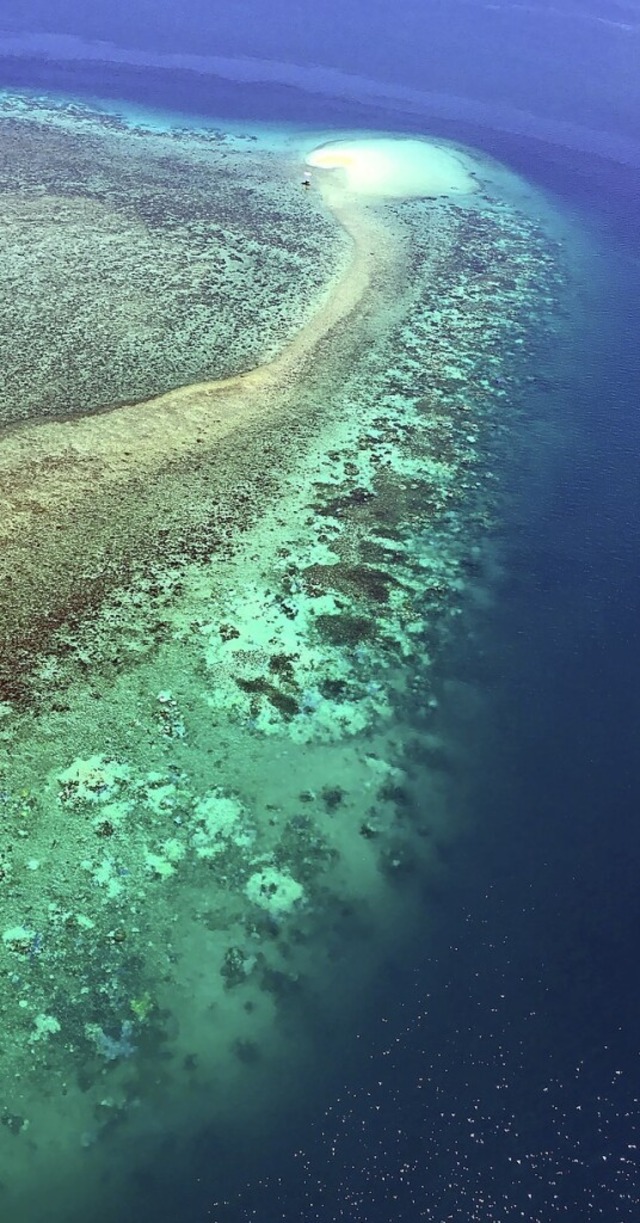 Das Great Barrier Reef  | Foto: Arc Centre Of Excellence For Cor