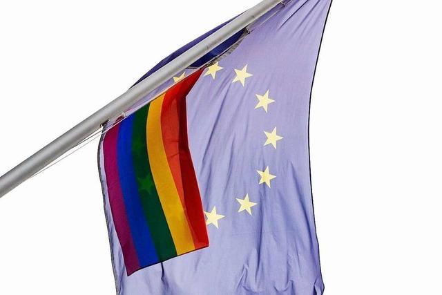Was kann die EU gegen Ungarns Homosexuellen-Gesetz tun?