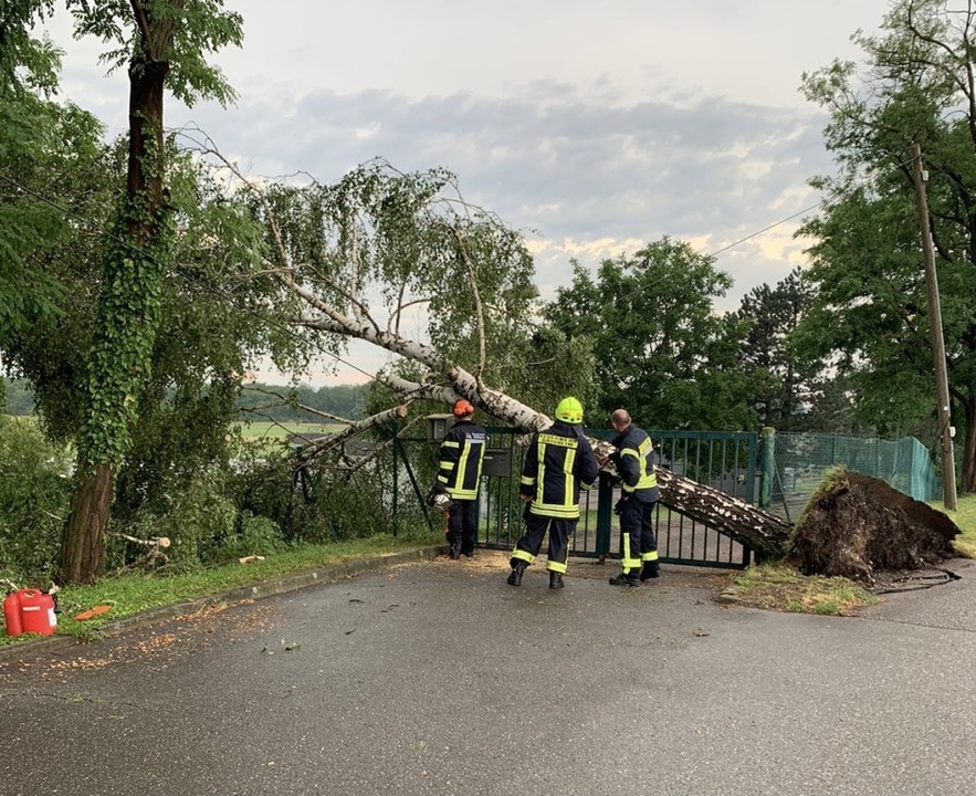 Auch um umgestürzte Bäume musste sich die Neuenburger Feuerwehr kümmern.  | Foto: Feuerwehr Neuenburg