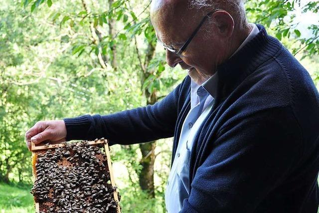 Imkerverein St. Peter gibt mittwochs Tipps und Ratschlge rund ums Thema Bienen