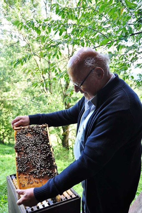 Eugen Metzger erklärt  interessierten ...achkunde das Arbeiten mit den Bienen.   | Foto: Jacqueline Grundig