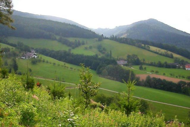 Ein Glas Most in der urgemtlichen Stube Glottertler 