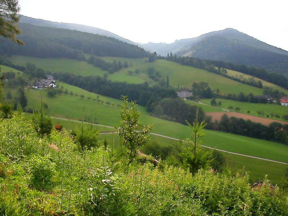 Schne alte Huser  liegen am Wegesran...er &#8222;Mosthof&#8220; genannt wird.  | Foto: christian ringwald