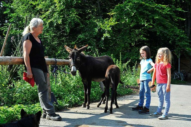 Esel sind Herdentiere.  | Foto: Franziska Lffler