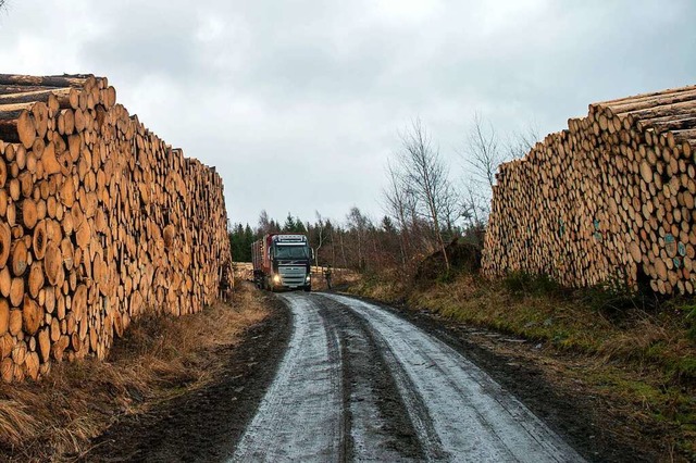 Ein Bild aus vergangenen Zeiten. Aktuell sind die Holzlager leer.  | Foto: Klaus-Dietmar Gabbert (dpa)