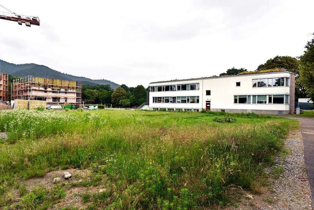 Die Ebneter Feyelschule liegt direkt n...ng Dreisam (auf dem Foto: nach links).  | Foto: Thomas Kunz