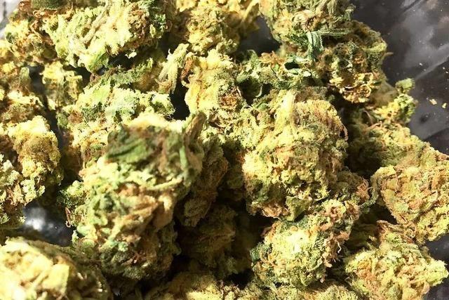 Polizei findet Cannabisblüten in Einmachgläsern bei Hausdurchsuchung