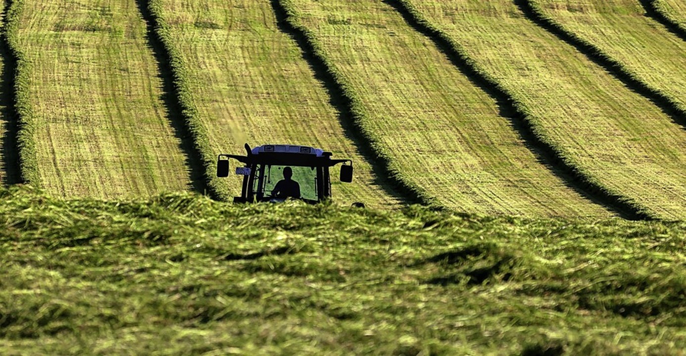 Die EU-Landwirtschaft soll grüner werd...m jetzt gefundenen Kompromiss gelingt?  | Foto: Karl-Josef Hildenbrand (dpa)