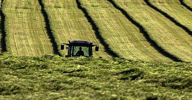 Die EU-Landwirtschaft soll grner werd...m jetzt gefundenen Kompromiss gelingt?  | Foto: Karl-Josef Hildenbrand (dpa)