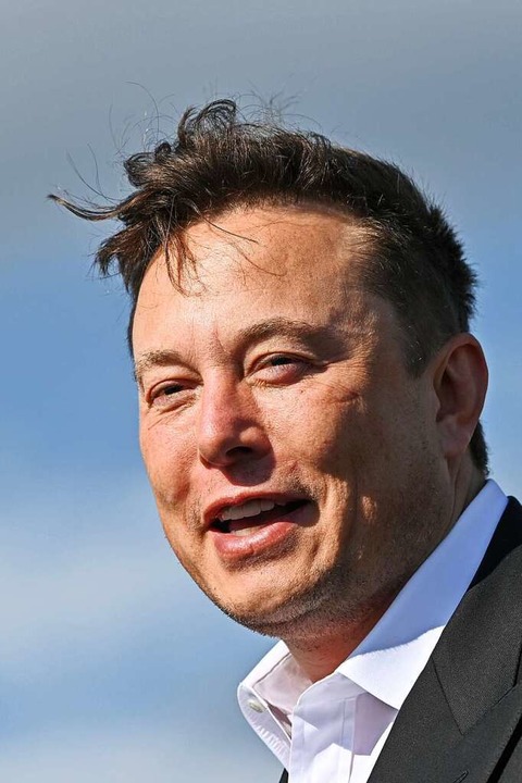 Tesla-Chef Elon Musk  | Foto: Patrick Pleul (dpa)