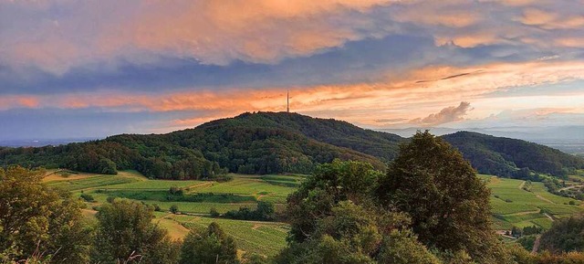 Blick auf den Totenkopf am Kaiserstuhl.  | Foto: Manfred Wiedemann