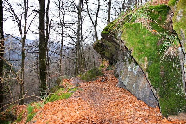 Wo heute ein Wanderweg herfhrt, floss... aus St. Peter ins Bergwerk Suggental.  | Foto: Andreas Haasis-Berner