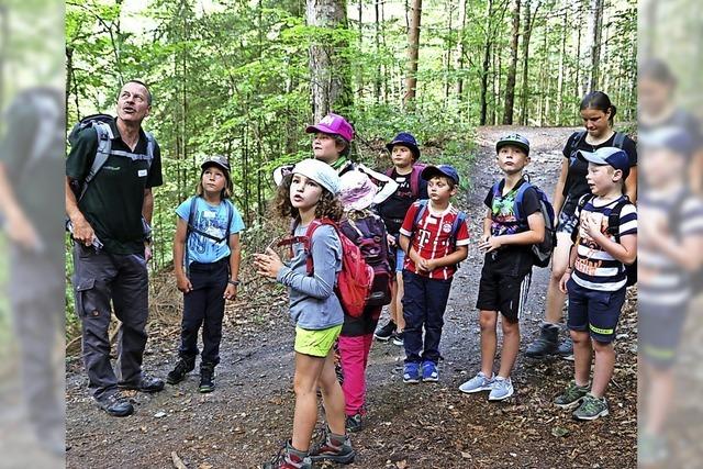 Erneut auf kleiner Flamme