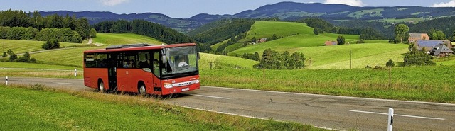 Plne der Sdbadenbus GmbH sehen keine... regt sich Widerstand in der Gemeinde.  | Foto: Mesenholl/Schwarzwald Tourismus