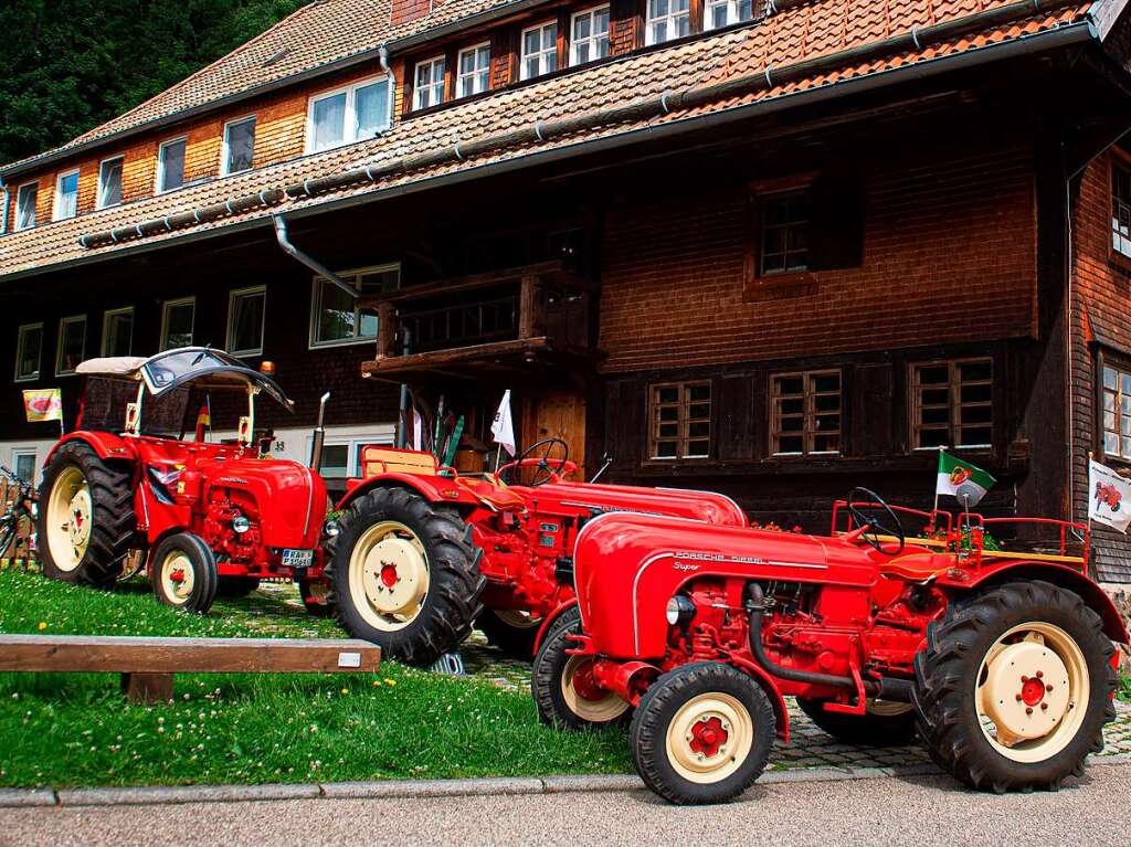 Kaminrot und mit viel Charme: Alte Traktoren der Marke Allgaier und Porsche.