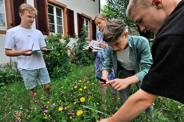 Abiturienten evaluieren gemeinsam mit dem Nabu Blhwiesen in Denzlingen