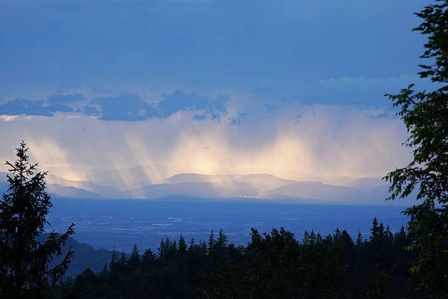 Regenwand.  | Foto: Thomas Eckerle