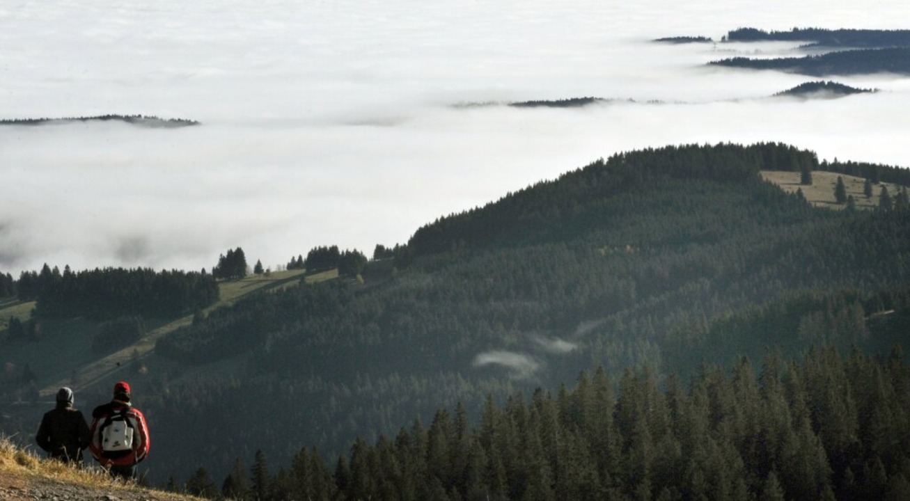 Der Nebel lichtet sich berm  Schwarzw...wieder so grn? Oder trgt der Schein?  | Foto: A3446 Patrick Seeger