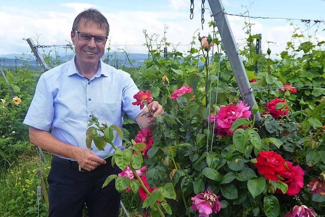 Die Gemeinde will die Winzer bei der B...lt untersttzen, sagt  Michael Bruder.  | Foto: Manfred Frietsch