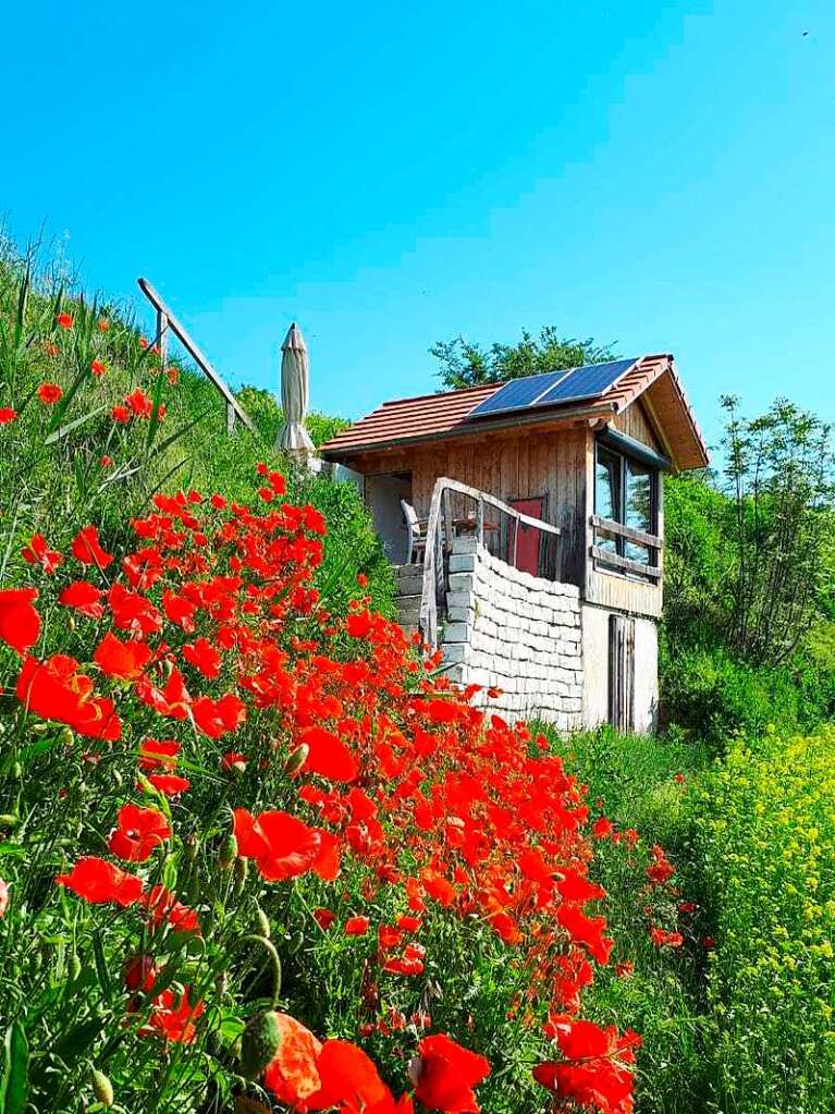 Mohn, wohin man schaut, auch beim Rebhisli im Kaiserstuhl, aufgenommen von Christian Guihot.