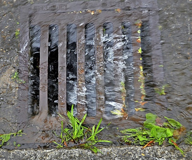 Viele Wasserablufe in Lrrach und Steinen waren verstopft.  | Foto: Peter Gerigk