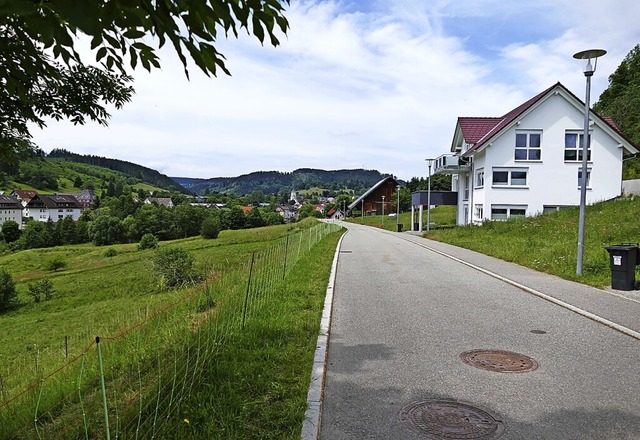 14 Wohnhuser knnen  auf der 2,1 Hekt...erdorf  ab Herbst 2022 gebaut werden.   | Foto: Ralf Morys