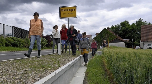 Wo die Naturschtzer jahrelang Krten ...etzt von dem neuen Leitsystem gefhrt.  | Foto: Regine Ounas-Krusel