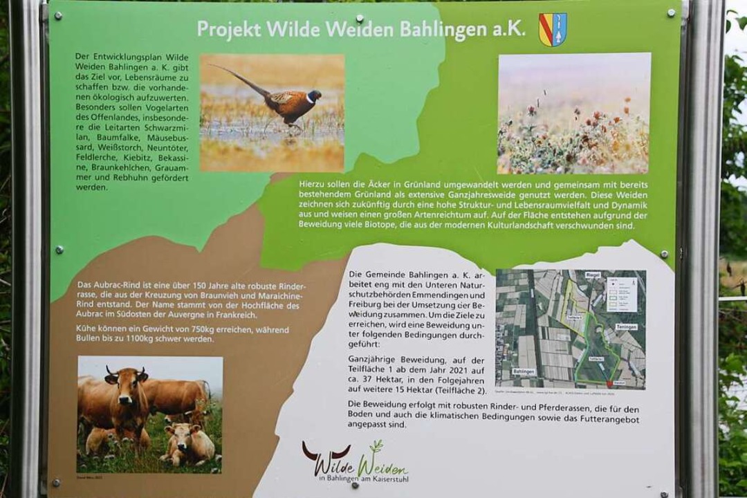 Infotafeln erklären interessierten Bes...Projekt der Wilden Weiden anschaulich.  | Foto: Christiane Franz