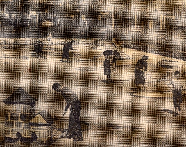 <BZ-FotoAnlauf>Minigolf:</BZ-FotoAnlau... Miniatur-Ballsport 1958 in Freiburg    | Foto: Repro: BZ