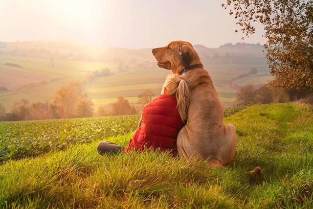 Bei einer Corona-Infektion sollte man ...it dem vierbeinigen Freund verzichten.  | Foto: Jean Kobben  (stock.adobe.com)