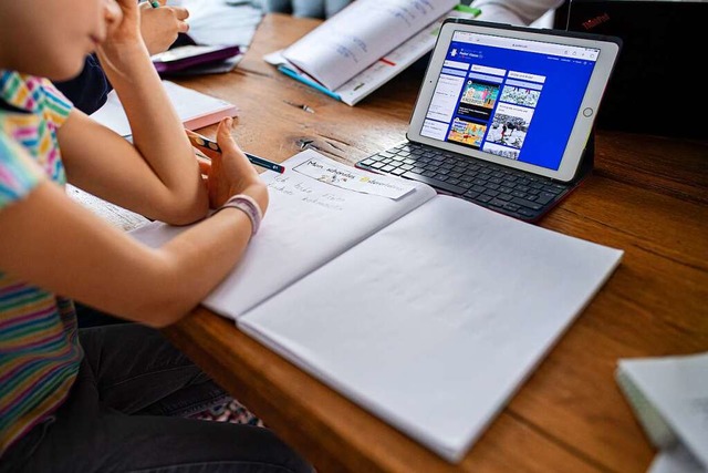 Homeschooling auch im neuen Schuljahr?...lern, aber auch Eltern graut es davor.  | Foto: Guido Kirchner (dpa)