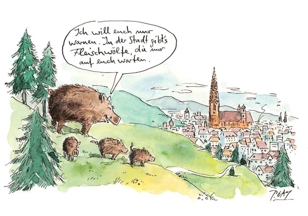 Im Kochbuch sind Zeichnungen von Peter...i einem Rezept für Wildschweinterrine.  | Foto: Rombach Verlag