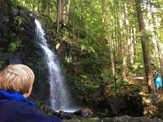 Gebannt  im Bannwald: Zweribach-Wasserflle im Simonswlder Tal  | Foto: Anselm Buhoff