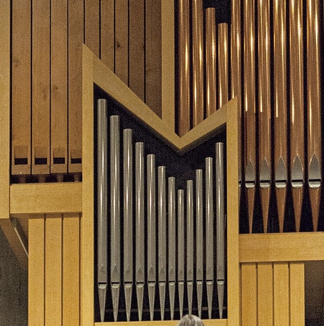 Von Orgel zu Orgel (hier in St. Pankra...hrt eine Radtour quer durch Waldkirch.  | Foto: Gabriele Zahn