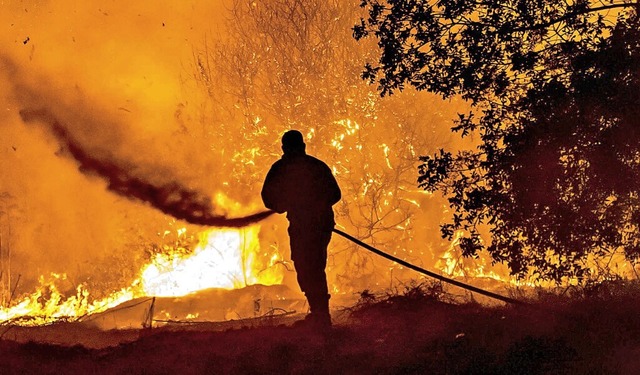 Ein Feuerwehrmann kmpft bei Arakapas gegen das Feuer.  | Foto: GEORGIOS LEFKOU PAPAPETROU (AFP)