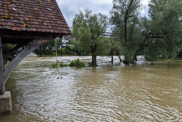 Das Rheinfelder Inseli steht unter Wasser