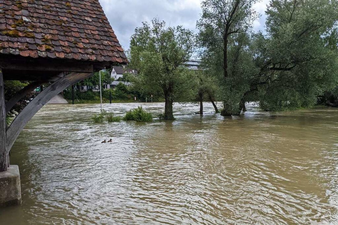 Hochwasser beim Inseli an der alten Rheinbrücke.  | Foto: Heinz und Monika Vollmar
