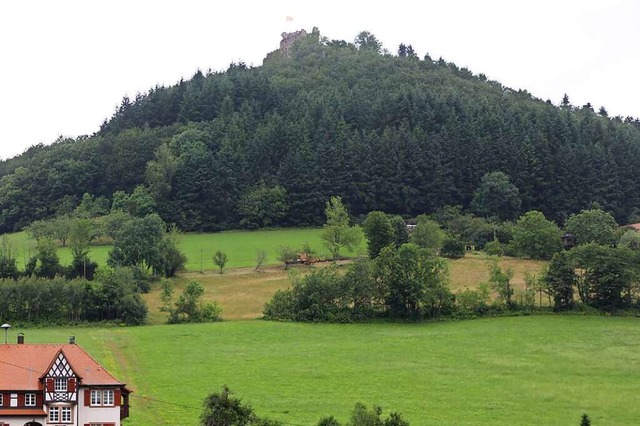 In Seelbach werden   Anwesen rund um d...ffentliche Kanalisation angeschlossen.  | Foto: Christoph Breithaupt