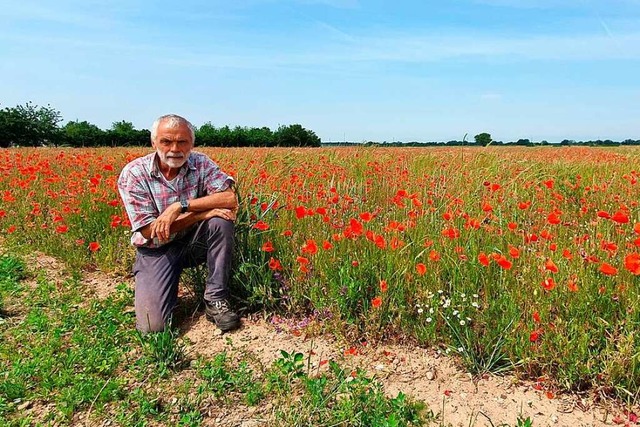 Landwirt Thomas Tritschler vor seinem Arche-Noah-Acker in Hartheim  | Foto: Julius Wilhelm Steckmeister