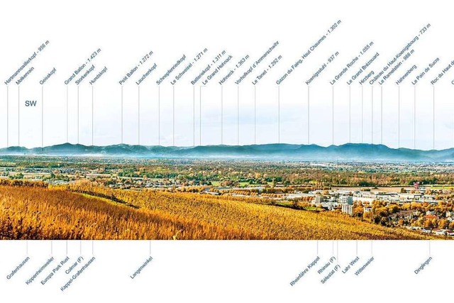 Die neue Panoramatafel  | Foto: Stadt Lahr